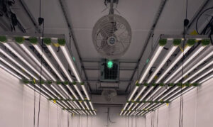 modular grow room lighting