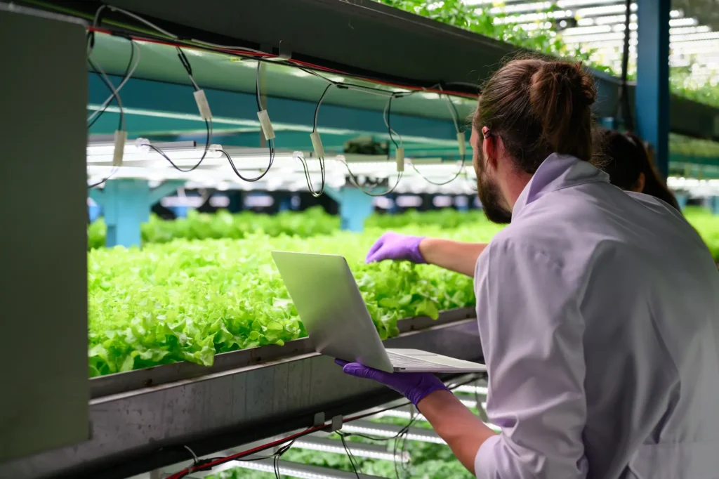 technology Smart farm IoT, Internet of things smart farm factory indoor. Researchers develop pesticide-free vegetable varieties greenhouse agriculture, Factory greenhouse indoor smart farm